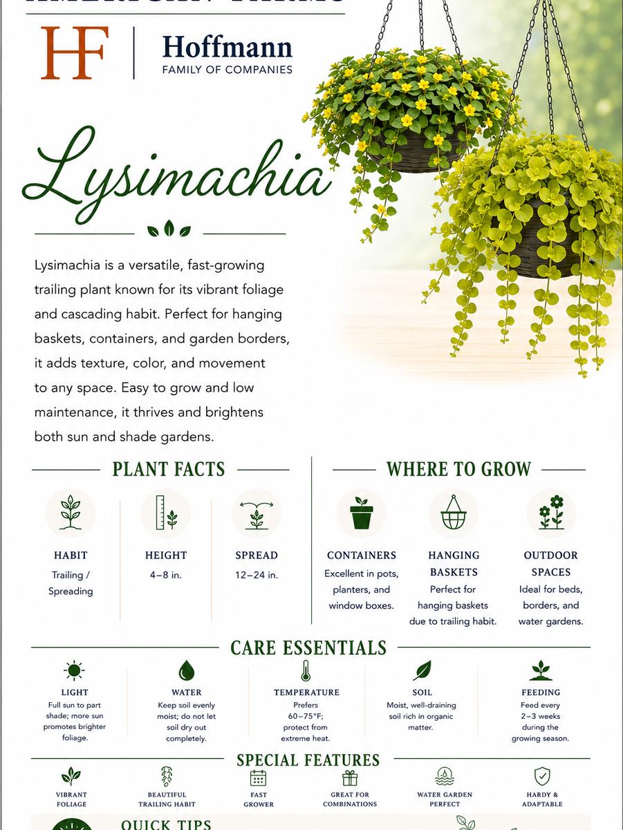img4